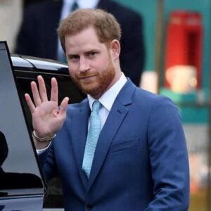 Il Principe Harry scatena il panico a Buckingham Palace: "Sarà un resoconto accurato della mia vita"
