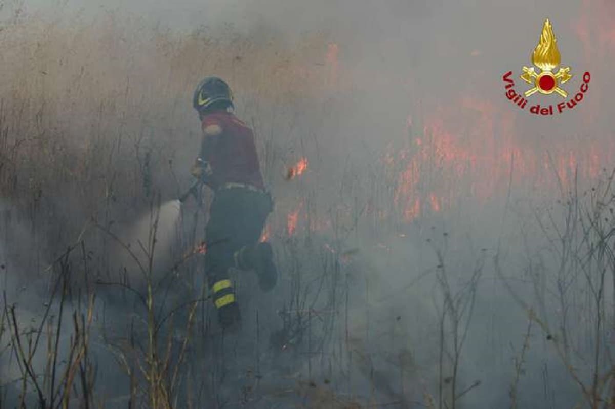 Incendi Calabria, un altro morto: pensionato tra le fiamme ad Acquaro, la quinta vittima