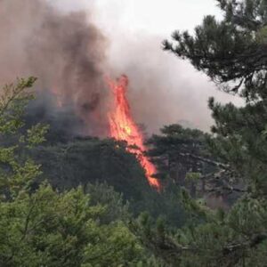 Incendi in Calabria, Aspromonte in fiamme e santuario della Madonna Polsi isolato VIDEO
