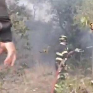 Incendio a San Lorenzo sull'Aspromonte: morti una donna e il nipote, volevano salvare l'uliveto