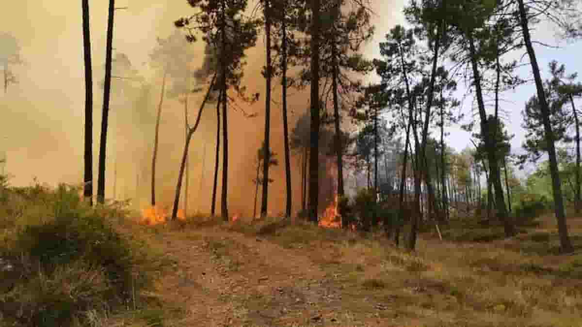 Incendio Framura da Ferragosto: sul bosco vicino La Spezia in azione anche i Canadair