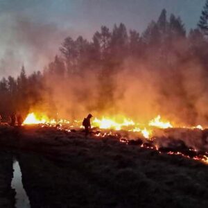 Incendio in Siberia è il più grande del mondo: la denuncia di Greenpeace
