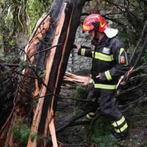 Corniglio (Parma), boscaiolo di 56 anni muore schiacciato da albero