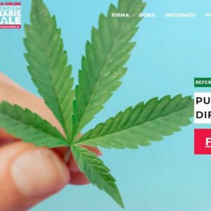 Cannabis legale referendum
