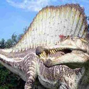 Dinosauri, gli spinosauri con il muso di coccodrillo sono comparsi in Europa 150 milioni di anni fa