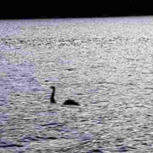 Mostro di Loch Ness, nuovo avvistamento: immagine catturata da un radar sottomarino