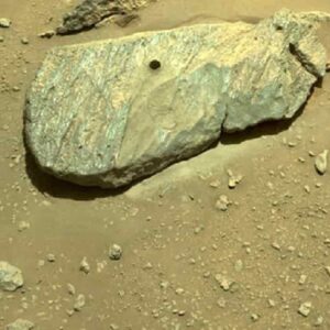 Marte, prelevata una roccia: servirà a capire se ci sono state vita e acqua. Ma arriverà nel 2031