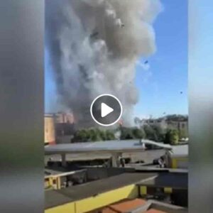 Incendio grattacielo Milano: così la Torre dei Moro è diventata una torcia in tre minuti VIDEO