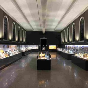 Mostro Sirena del museo di Milano: ha capelli umani, unghie d’uccello e pinne di pesce