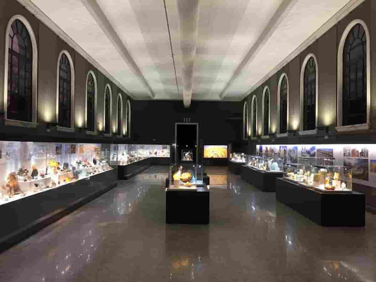 Mostro Sirena del museo di Milano: ha capelli umani, unghie d’uccello e pinne di pesce
