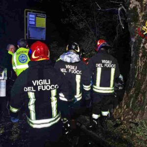 Incidente a Grignano Polesine (Rovigo): auto contro platano, 3 ragazzi morti, uno in fin di vita