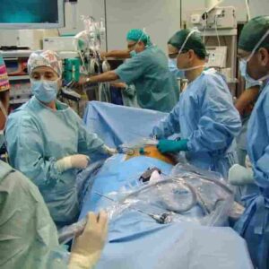Trapianto di rene da un maiale su una donna in stato di morte cerebrale: è la prima volta