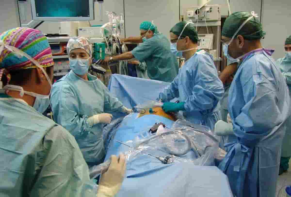 Trapianto di rene da un maiale su una donna in stato di morte cerebrale: è la prima volta