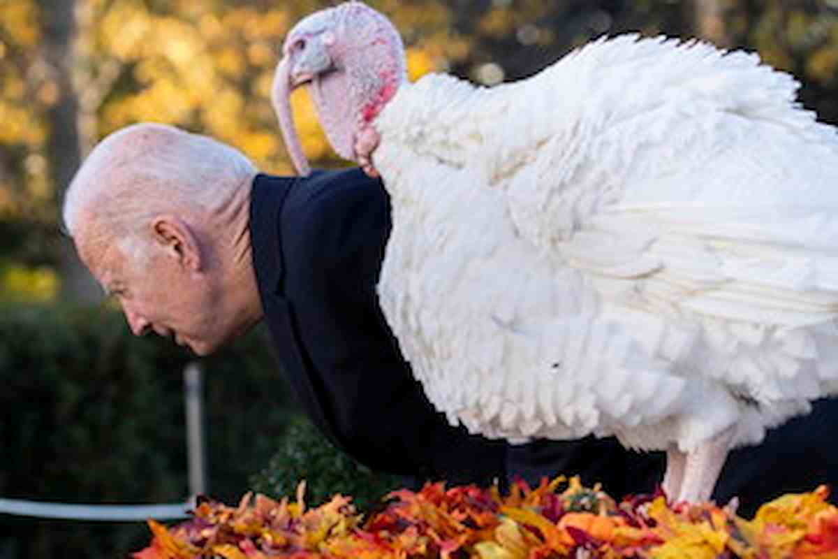 Joe Biden salva due tacchini, non finiranno sulla tavola del "Thanksgiving Day"