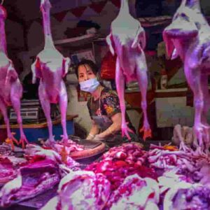 Mercato animali di Wuhan, l'11 dicembre 2019 una donna si ammala: ecco l'origine animale del Covid