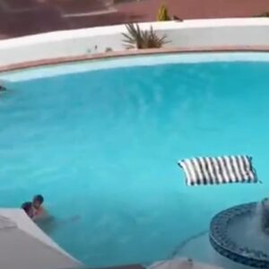 Omicron, buone notizie dal Sud Africa, i nuovi contagi calano, è estate la gente affolla la piscina VIDEO