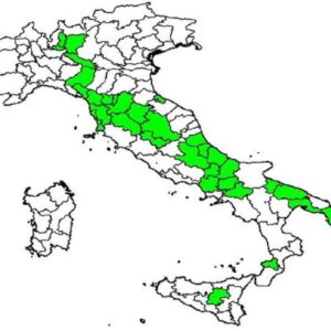 Omicron in Italia: le 32 province in cui la variante Covid è più diffusa: la mappa