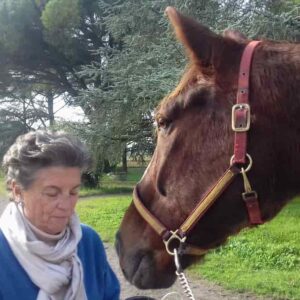 Donne d’Impresa: Laura Petracchi Meli, la Signora dei cavalli: parità di genere, ma per il merito