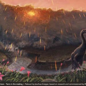 dinosauri estinzione primavera