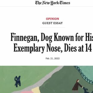 Necrologi per cani e gatti, l'iniziativa del New York Times grazie ad una psicologa canina