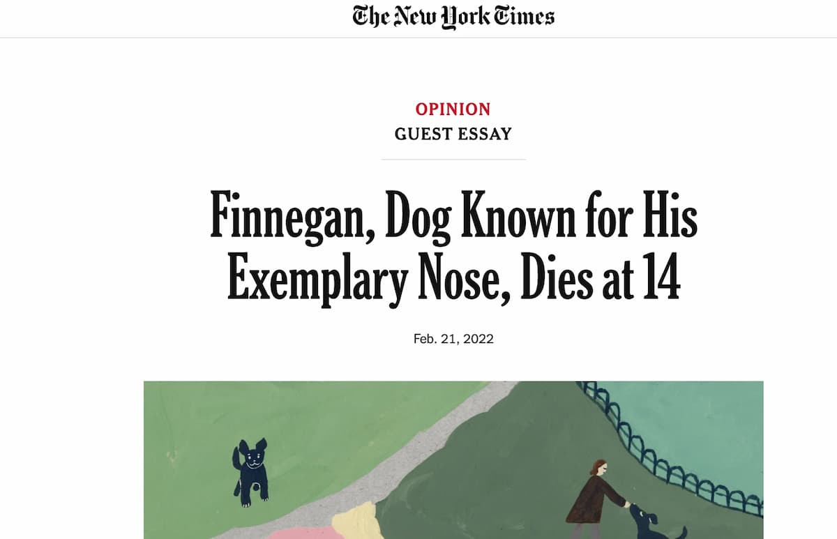 Necrologi per cani e gatti, l'iniziativa del New York Times grazie ad una psicologa canina