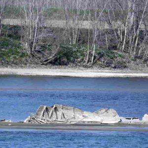 Cadavere mutilato in un borsone nel fiume Po ad Occhiobello (Rovigo): forse è della campionessa di tiro a segno scomparsa