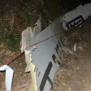 737 cinese, un pilota suicida non basta: cosa è successo in cabina? Aereo precipitato al suolo