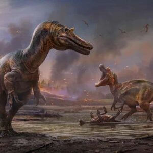 dinosauro più grande europa wight
