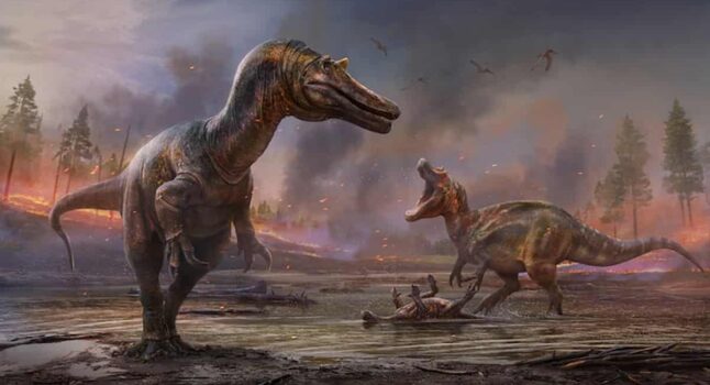 dinosauro più grande europa wight