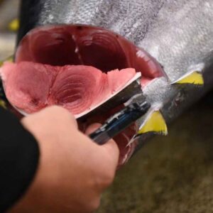 Milazzo, dieci persone intossicate dopo aver mangiato tonno rosso: una coppia in terapia intensiva