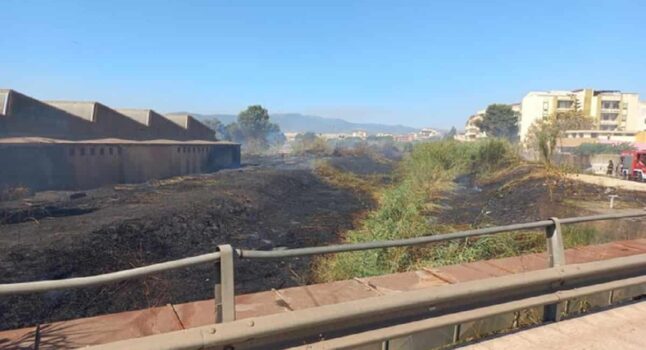 Sestu (Cagliari), incendio divampa vicino la strada provinciale 8: evacuate alcune abitazioni