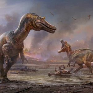Come si corteggiavano e come facevano sesso i dinosauri? La scoperta da due fossili
