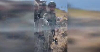 Gatto salvato dagli artificieri ucraini, era in un campo minato sull'Isola dei Serpenti VIDEO