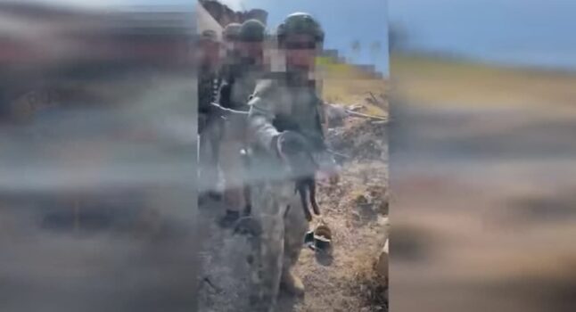 Gatto salvato dagli artificieri ucraini, era in un campo minato sull'Isola dei Serpenti VIDEO