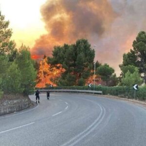 Incendio Carso, evacuata una frazione di Savogna d'Isonzo. Il sindaco di Gorizia: "Nuovo rogo è doloso"