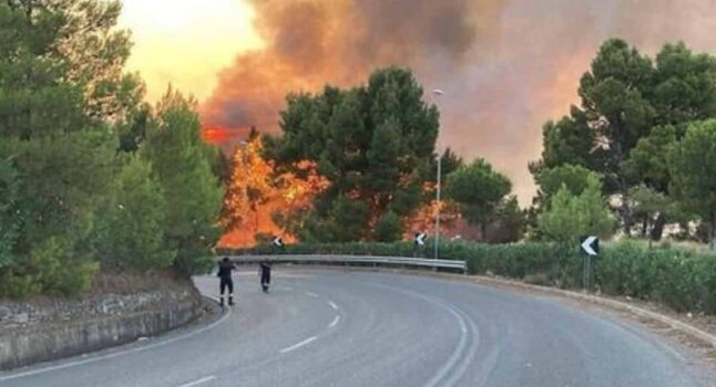Incendio Carso, evacuata una frazione di Savogna d'Isonzo. Il sindaco di Gorizia: "Nuovo rogo è doloso"
