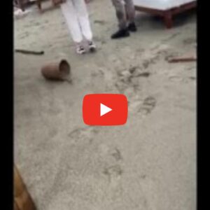 Tromba d'aria anche sul Twiga di Forte dei Marmi: Daniela Santanché mostra i danni in un video
