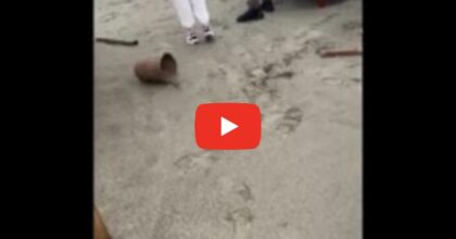 Tromba d'aria anche sul Twiga di Forte dei Marmi: Daniela Santanché mostra i danni in un video