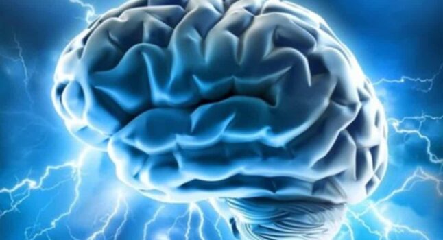 Cervello, scoperto perché abbiamo paura: verso nuove terapie per traumi e autismo