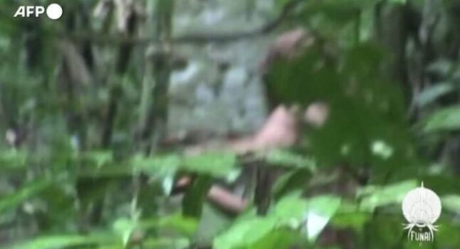 Brasile, morto l'Uomo della buca: viveva da 26 anni da solo nella foresta amazzonica