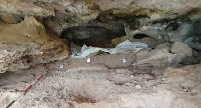Camerota, Salerno: pachiderma di 140mila anni fa cacciato e macellato dagli umani FOTO