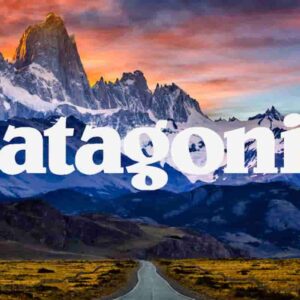 patagonia no-profit