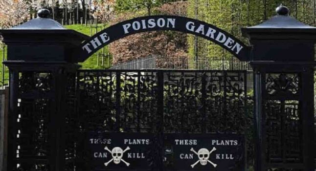 Il giardino delle piante che uccidono: il cartello all'ingresso non toccatele