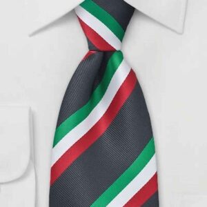 Le cravatte di Giorgia Meloni ai suoi parlamentari: ritorno al decoro?