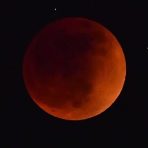 Eclissi di Luna 8 novembre: non sarà visibile dall'Italia. La diretta del Virtual Telescope Project