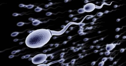 Negli ultimi 40 anni il numero di spermatozoi si è dimezzato in tutto il mondo. E non si sa perché