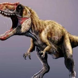 Sisifo, scoperto l'antenato del T-rex. Il fossile (scoperto in Montana) risale a 76 milioni di anni fa