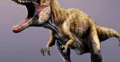 Sisifo, scoperto l'antenato del T-rex. Il fossile (scoperto in Montana) risale a 76 milioni di anni fa