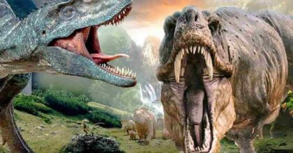 In Cina ritrovato il fossile di un volatile con la testa da dinosauro e il corpo da uccello