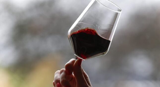 Antonella Viola: "Anche un bicchiere di vino al giorno fa male. E chi beve ha un cervello più piccolo"
